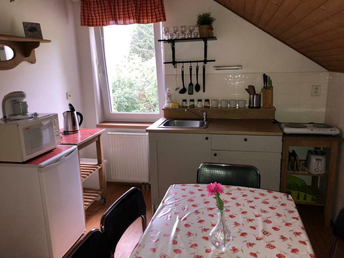Apartmany U Kamenky Vrchlabí Екстериор снимка